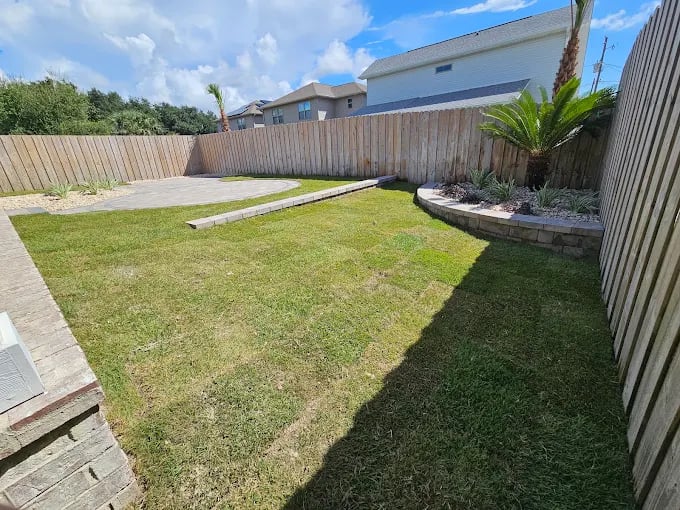 Backyard with green lawn, wooden fence, and palm tree landscaping