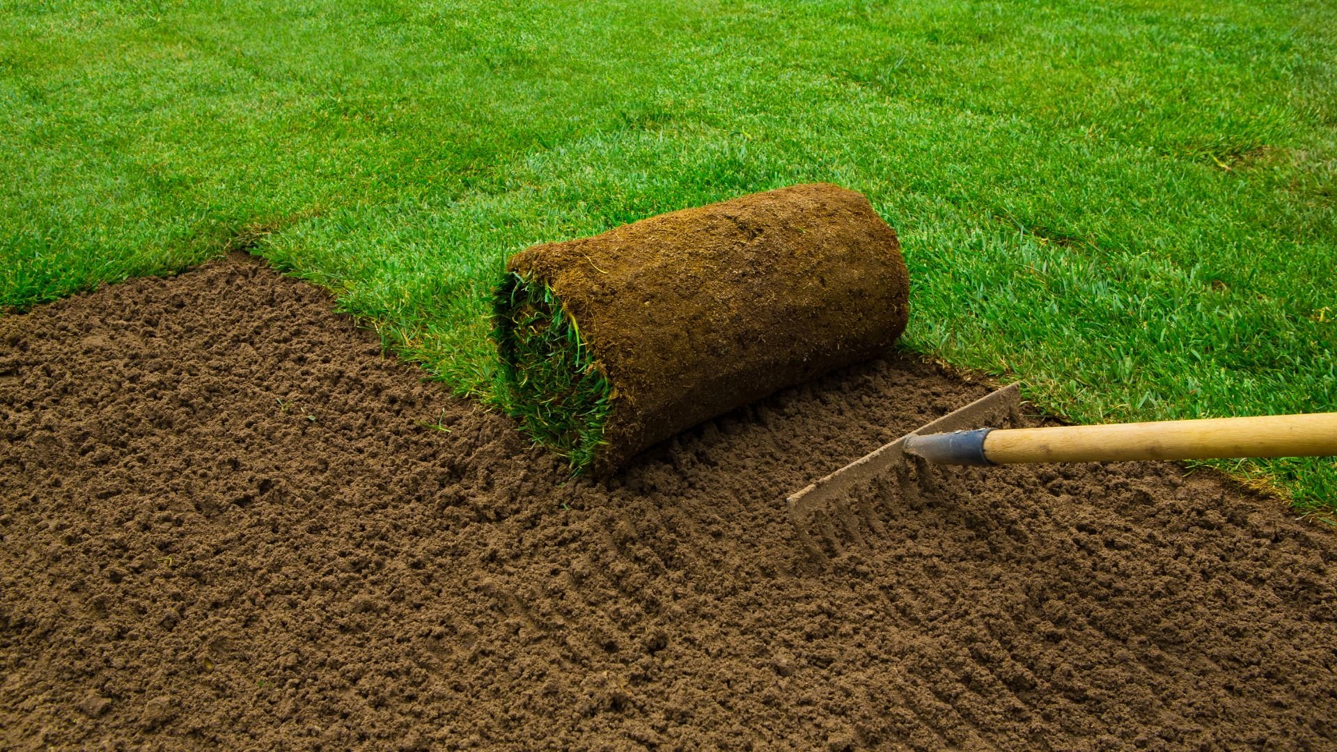 Rolled turf on freshly prepared soil with gardening tool