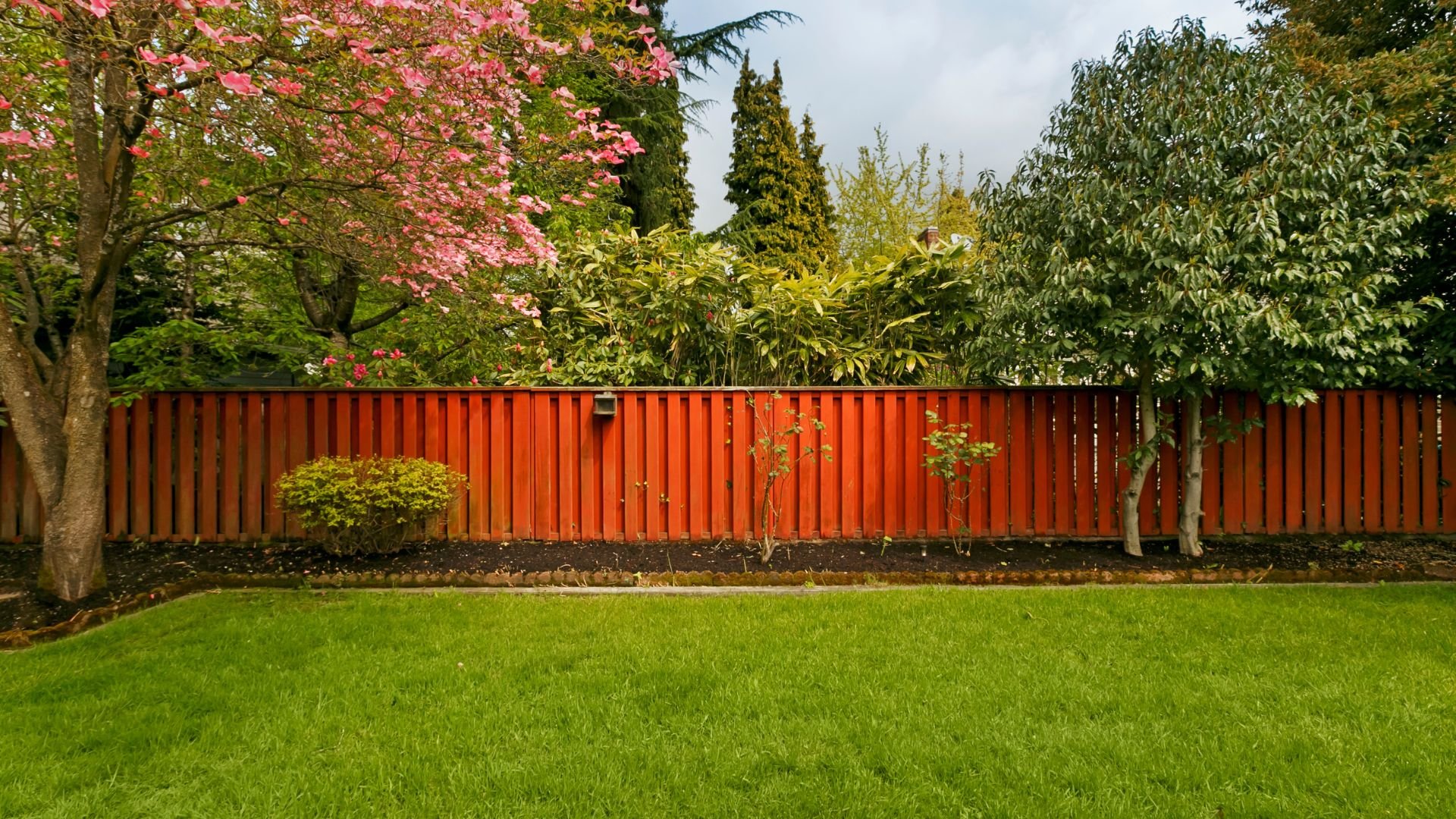 Manicured lawn with red fence, flowering tree, and green garden backdrop